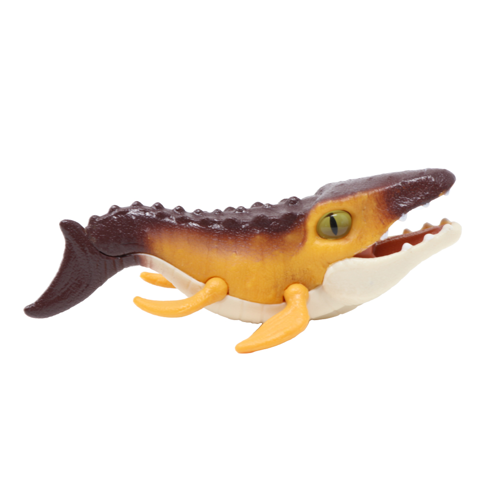 JFR25-MOSASAURUS B
