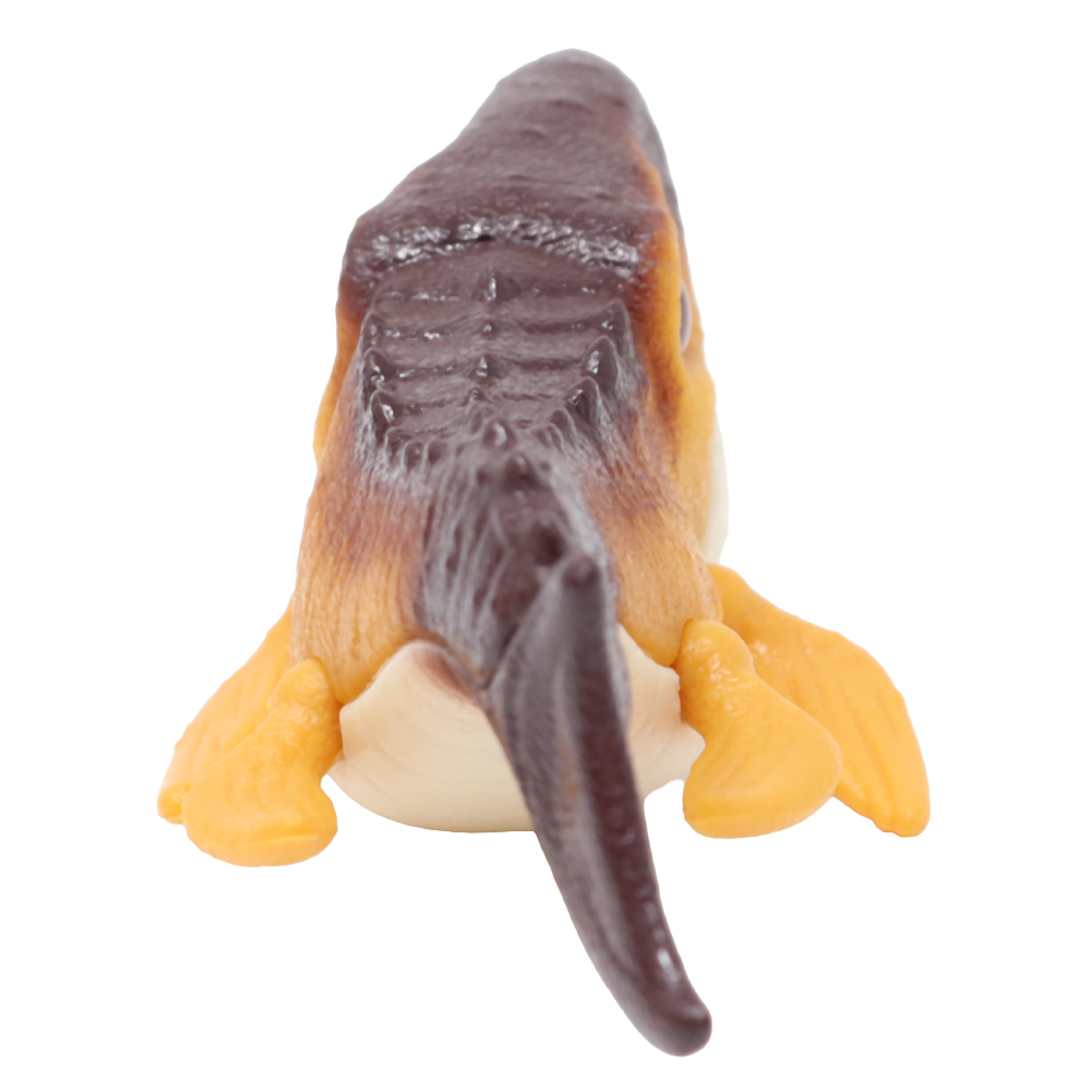 JFR25-MOSASAURUS C