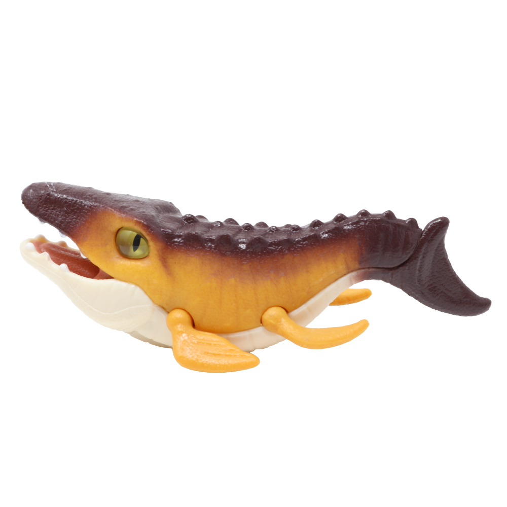 JFR25-MOSASAURUS D