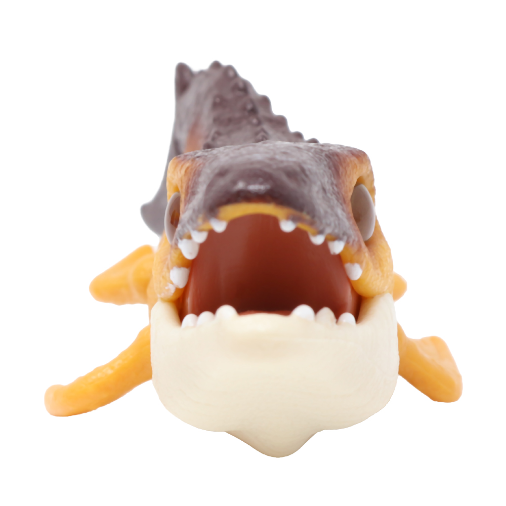 JFR25-MOSASAURUS F
